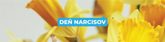 Deň narcisov 2024