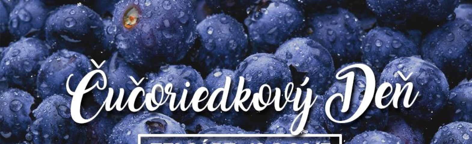 Najvyšší čas oprášiť rodinné recepty. Čučoriedky na Telgárte už čakajú...