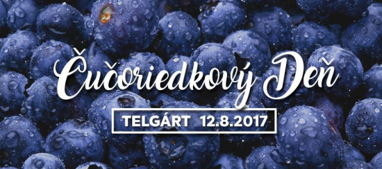 Najvyšší čas oprášiť rodinné recepty. Čučoriedky na Telgárte už čakajú... Najvyšší čas oprášiť rodinné recepty. Čučoriedky na Telgárte už čakajú...