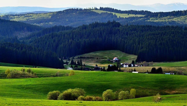 Drábsko