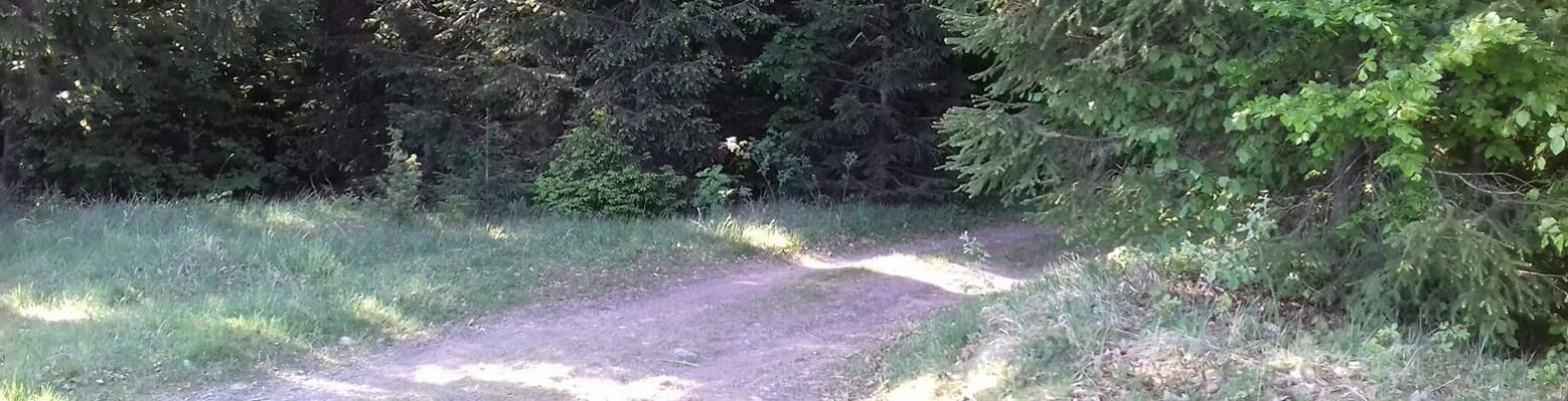 Hubárska sezóna zahájená