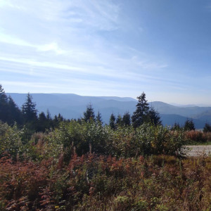 img_20211003_094103-1-scaled.jpg