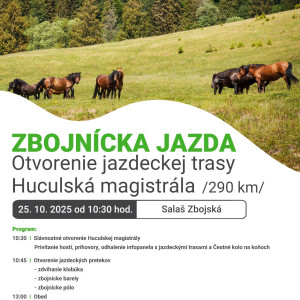 zbojncka_jazda_medializcia_plagt.jpg