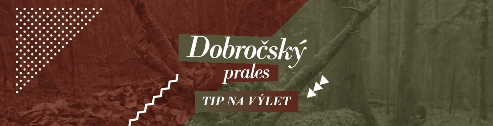 Dobročský prales