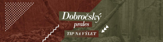 Dobročský prales