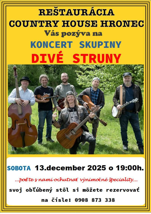 dive_struny_december_2025.jpg