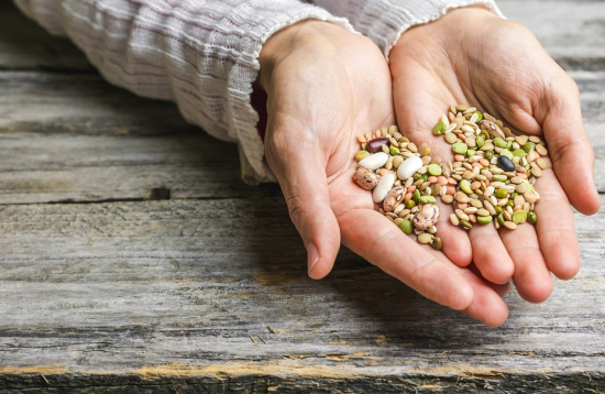 Ako Vehgroshop.sk mení trh s biopotravinami a prečo to stojí za pozornosť