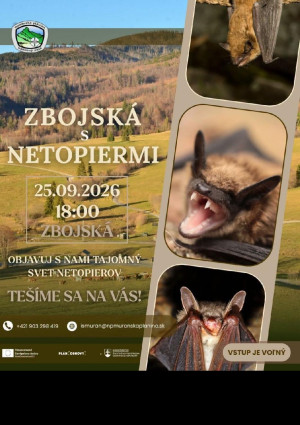 zbojska_netopiere_26.jpg