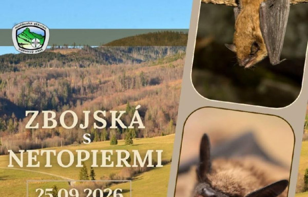 Zbojská s netopiermi
