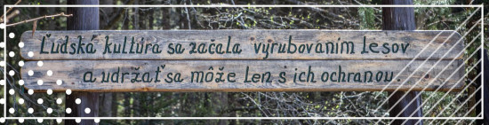 Život zasvätený lesu
