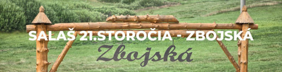 SALAŠ 21.STOROČIA - ZBOJSKÁ